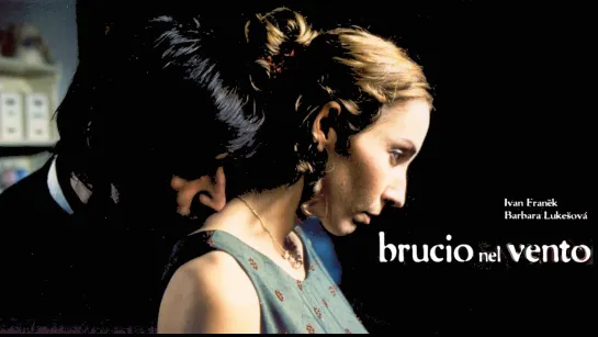 Brucio nel vento (2002)