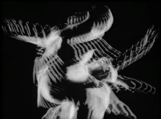 Norman McLaren - Pas de deux ПА-ДЕ-ДЕ (1967) - мультфильм. Норман МАкЛарен 1080p