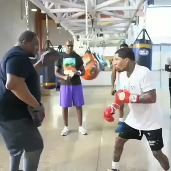 Джервонта Дэвис (New Boxing)