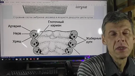 Озвер эмбрион ч из глубины веков. Белов