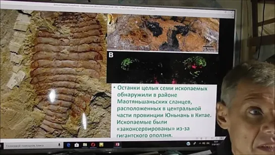 Как нам не превратиться в новых членистоногих. Белов