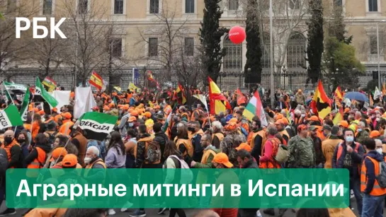 Фермеры, лошади и тракторы в Мадриде. Испания протестует против повышения цен на продовольствие