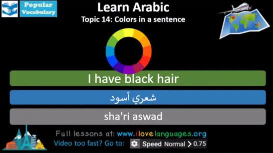 Arabic Most Common Vocabulary. 600 Words. Easy conversation