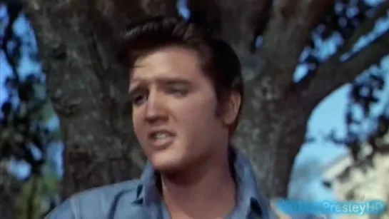 Elvis Presley - Gotta Lotta Living To Do