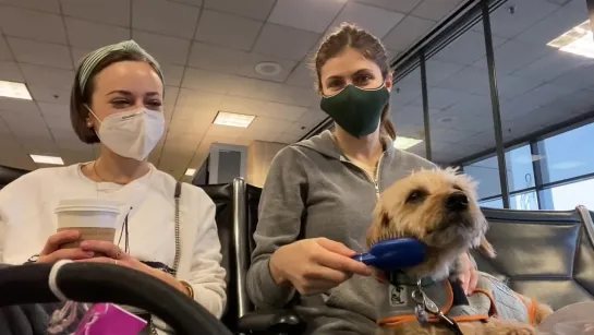 ALEX AND KATE ARE GOING ON AN AIRPLANE! (During a pandemic)   Alexandra Daddario