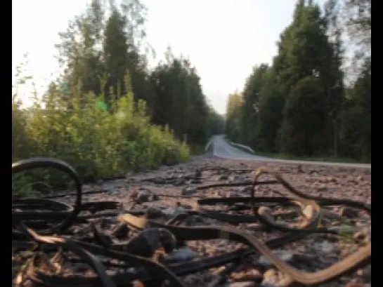 Видео "Осеннее шоссе" - "Cурганова и Оркестр", Настя Полева