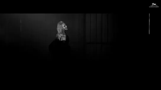 [2016.11.29] HYOYEON (효연) - Mystery (Teaser)