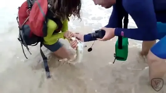 Woman bitten by a shark while taking a SELFIE on a beach in Brazil