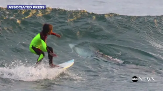 10-Year-Old Surfers Close Encounter With Shark