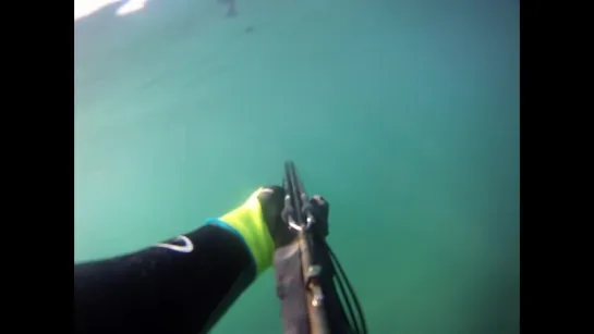 Great White Shark Attack Caught On GoPro (full video)