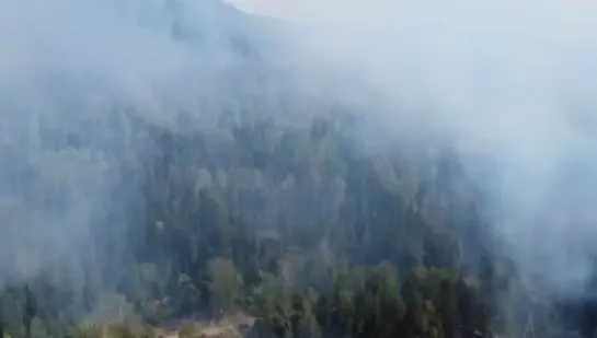 Видео от Я живу в Барнауле | Алтай