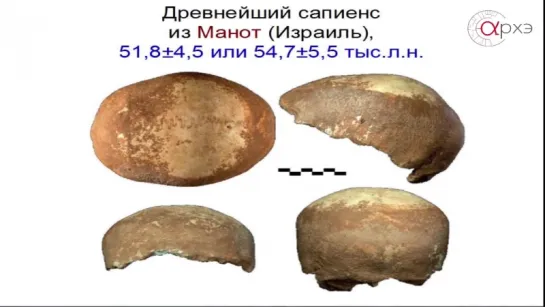 Станислав Дробышевский. Палеоантропология. Итоги 2015 года