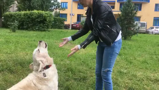 Видео от Юлии Положенцевой