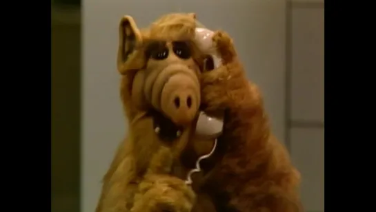 Alf 1x05 - Guardando