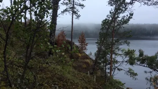 Видео от Владимира Родионова