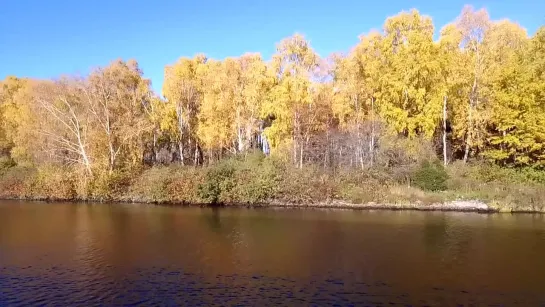 Видео от Владимира Родионова