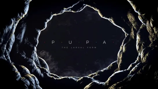 .P.U.P.A. | THE LARVAL FORM