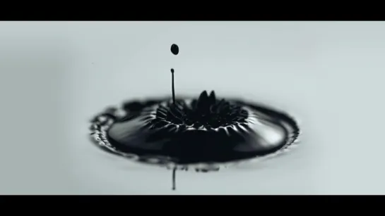 CYMATICS׃ Science Vs. Music - Nigel Stanford