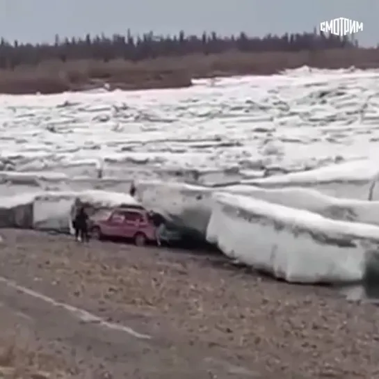 Видео от Александра Голованова