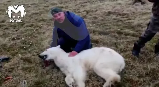 Видео от Александра Голованова