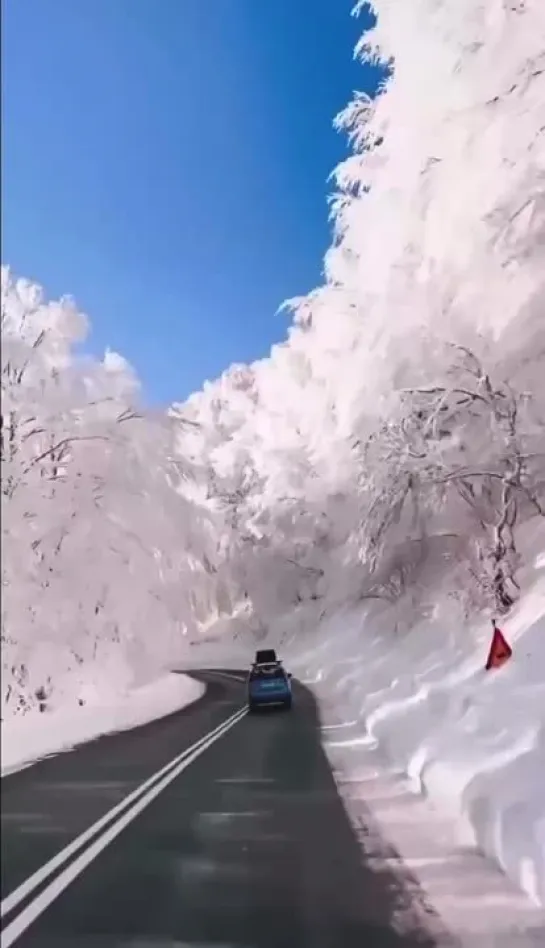 Видео от Александра Голованова