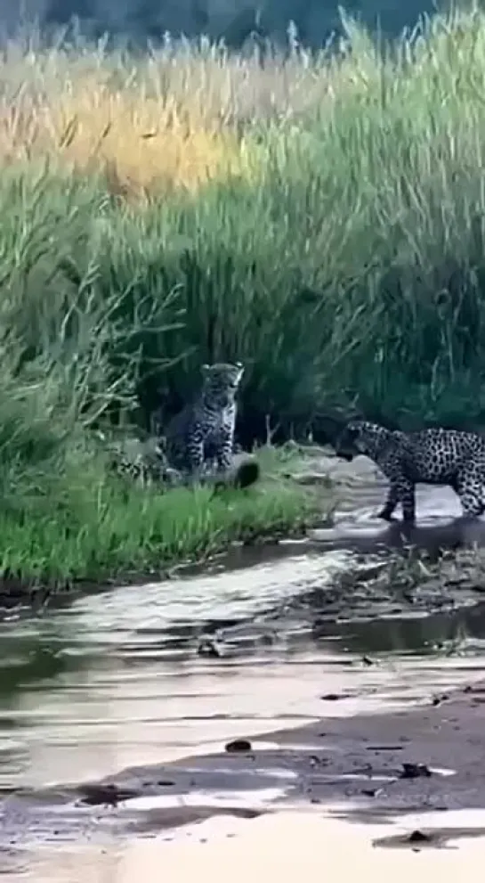 Видео от Александра Голованова