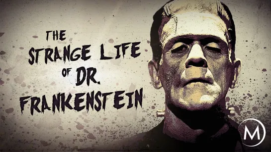 The Strange Life of Dr. Frankenstein (2018) dir. Jean Froment