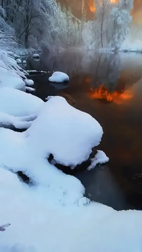 Видео от Science|Наука