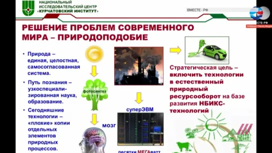 Клеточная война, колонии и «служебные люди» США