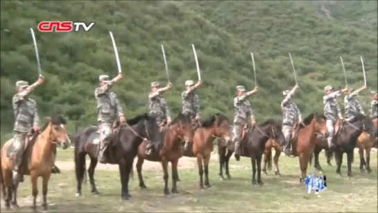 China cavalry XXI century