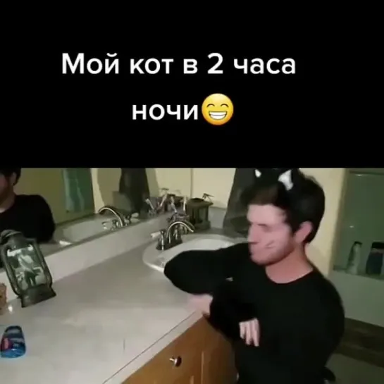 Мой кот в 2 часа ночи