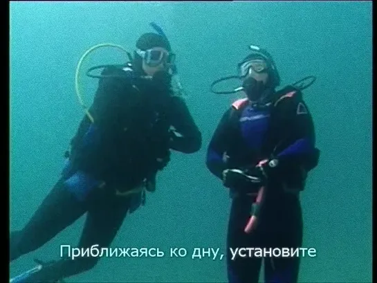 Adventures in Diving