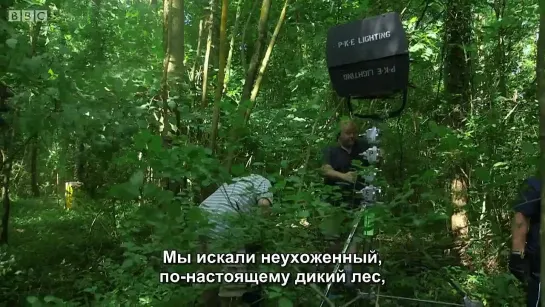 Doctor Who Extra s01e10 In the Forest of the Night (rus sub)