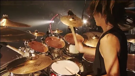 Acid Black Cherry - 2010 Rebirth - Osaka no Hall main part - 4(7)