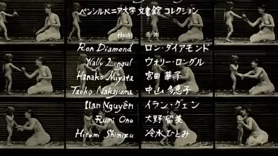 Muybridge's Strings - Koji Yamamura (2011)