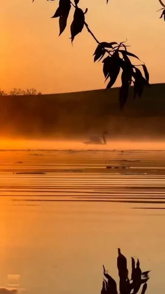 Лучшие фотографы и модели