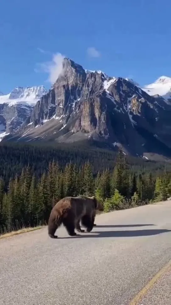 Лучшие фотографы и модели