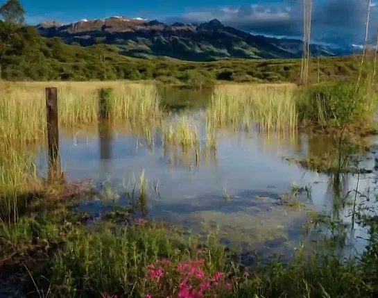 Лучшие фотографы и модели