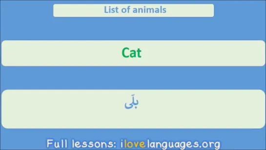 Urdu for Beginners. 500 Popular Words-n-Phrases