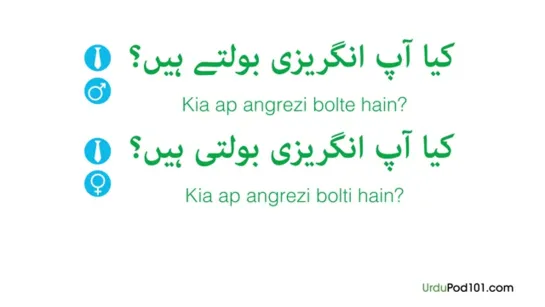 Urdu in Three Minutes - Do You Speak English