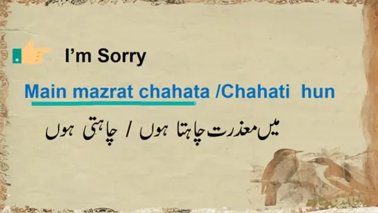 Jakarta. I Am Sorry in Urdu Language