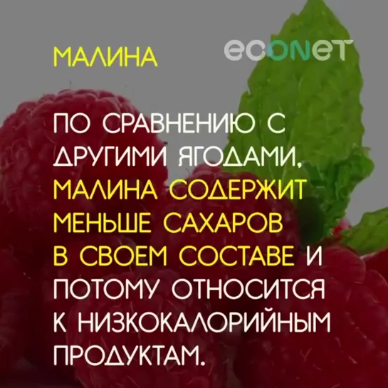 18 продуктов, безжалостно сжигающих жир