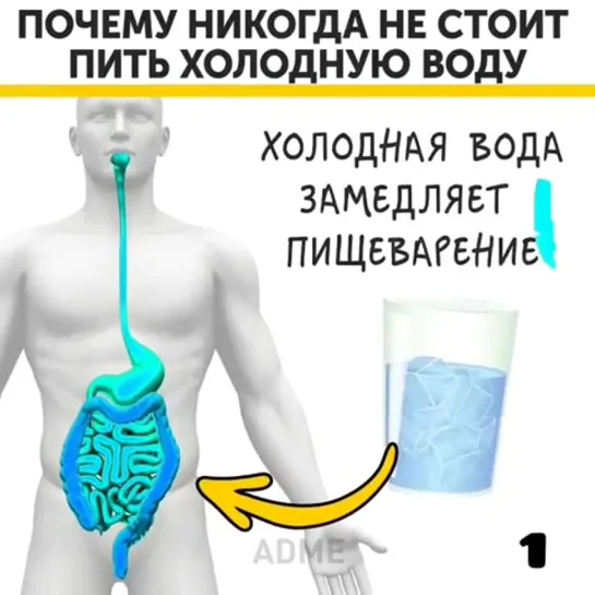 Почему никогда не стоит пить холодную воду