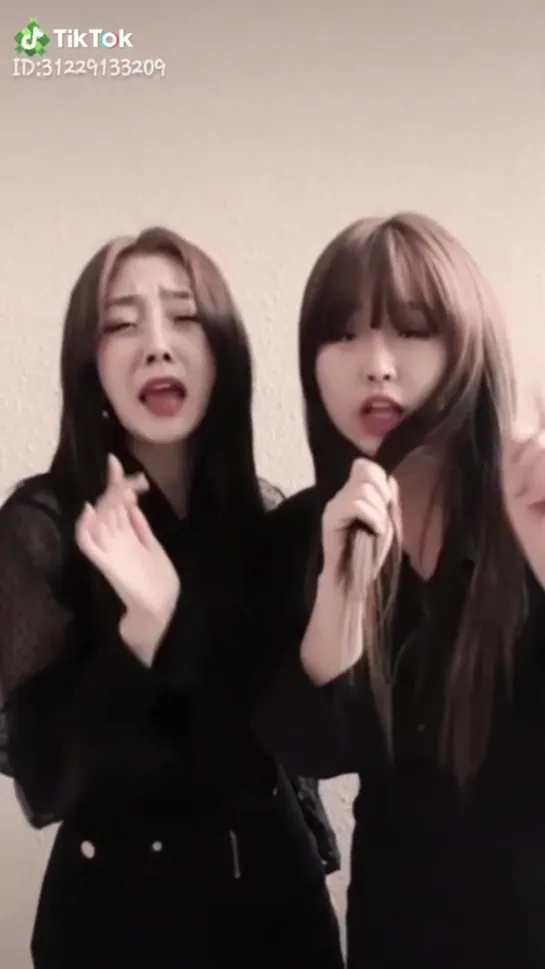 190526 Обновление Tiktok #Lovelyz