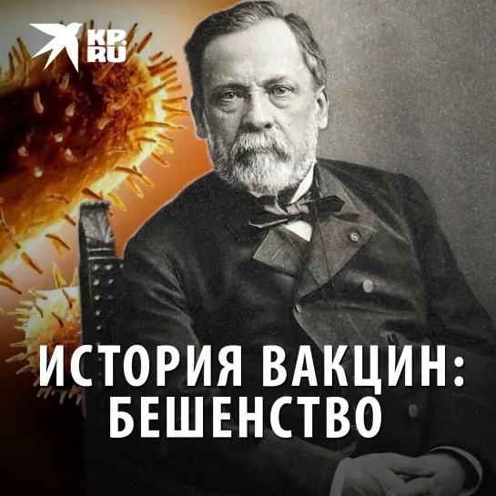 История вакцин: бешенство