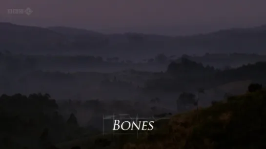 1. Кости / Bones (Происхождение человека / Origins of Us) 2011