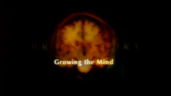 5. Развитие мышления / Growing the Mind (BBC: Тайны мозга / BBC: Brain Story) 2000