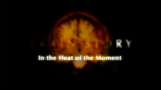 2. Эмоции / In the Heart of the Moment (BBC: Тайны мозга / BBC: Brain Story) 2000