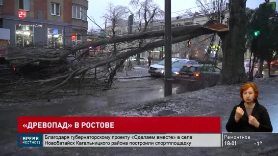 «Древопад» в Ростове