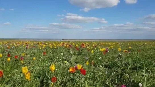 Специальный репортаж 16.05.2022